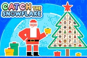 Catch the Snowflake