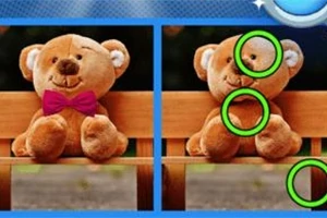 Find 500 Differences