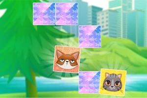 Kitten Match Kitten Match