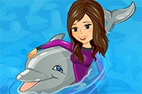 My Dolphin Show